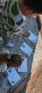 interpretacion de huellas 2